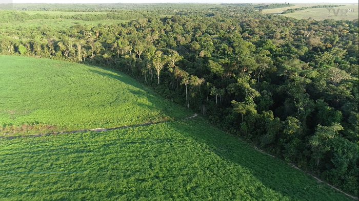 Gastos com preservação ambiental poderão ser abatidos em imposto de renda de produtor